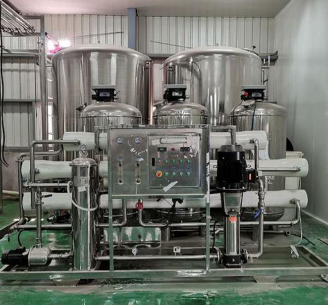 10吨每小时双级反渗透制药GMP车间纯化水医用口罩厂纯化水设备